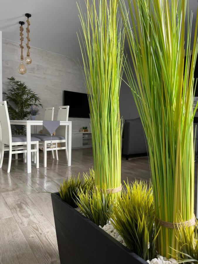 Apartamento Banferra Jerez de la Frontera Eksteriør billede
